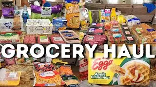 *NEW* ALDI GROCERY HAUL | WALMART GROCERY HAUL | NICOLE BURGESS GROCERY HAUL