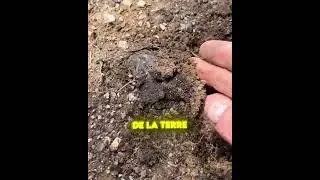 SHE FOUND THIS WHILE DIGGING! 😱💎