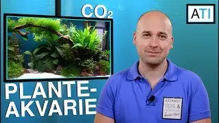 Planteakvarie med CO2