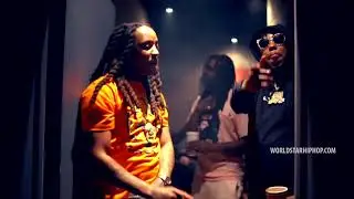 Tadoe - Go Forest (Official Video)