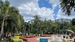 ZooTampa has amazing tropical foliage