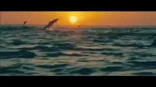 Очень позитивный настрой Радуйся чудесам жизни!