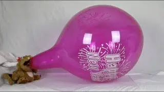 132 - blow to pop huge 17