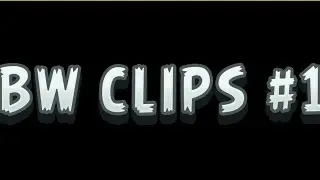 BW CLIPS #1 / ПРОБНЫЙ БВ -КЛИПС