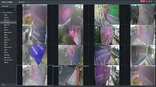 amedia отчеты