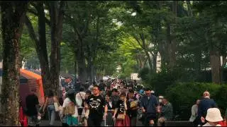 A Day at Yoyogi Park: Japan's Africa Heritage Festival