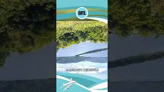 日本三景之一 京都天橋立View Land 跨下窺看飛龍觀 #日本景點 #旅行 #shortsvideo