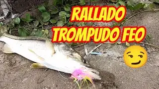 Pensamos que era un jurel y salió un Robálo