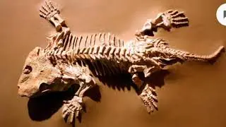 Позднетриасовый миллимиг.