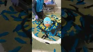 My package delivery system