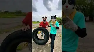Súper Firulais 🦸‍♂️🐶💥 