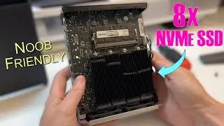 A NAS for Noobs and Pros - Terramaster F8 SSD Plus Review