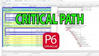 Critical Path di Primavera P6