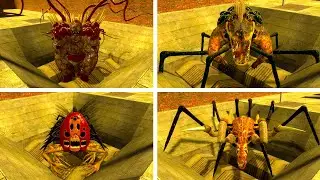 NEW ALL ZOOCHOSIS MONSTERS AND ALL NATURAL ANIMALS FAMILY TORTURE!! Garry's Mod