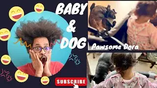 Baby & Dog की दोस्ती ☺️❤️
