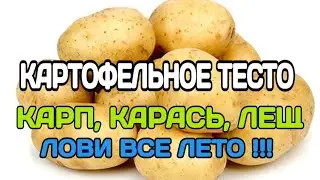 ПАХУЧЕЕ ТЕСТО ДЛЯ РЫБАЛКИ. УЛОВИСТАЯ НАСАДКА НА КАРПОВЫХ ИЗ ЖАРЕНОГО КАРТОФЕЛЯ.