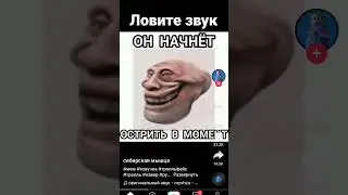 ловите звук# ты затроллен