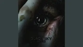 Black Sky