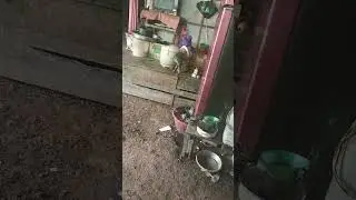 ada yang tau ga ini apaan ya #shorts
