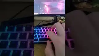 Gamakay bumblebee and pegasus switches (bumblebee first and pegasus second)