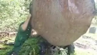да иди ты на хуй