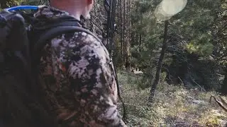 Why a Mouth Tab over a Crossbow? "Tweener Talk"