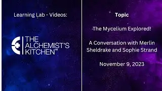 🌿 Unlock the Magic of Mycelium: A Conversation with Merlin Sheldrake and Sophie Strand