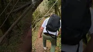 C’est la saison de la sève de bouleau !
