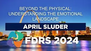 FDRS 2024 - Beyond the Physical: Understanding the Emotional Landscape
