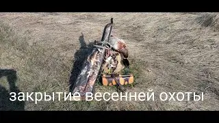 Drake hunting with a mana duck in the Novosibirsk region. Closed the 2022 spring hunt with an exc...