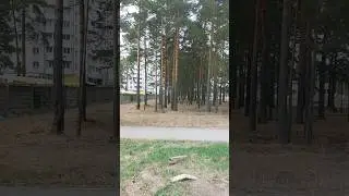 Ангарск плевать на ваши желания, хочу и буду строить 20.04.24