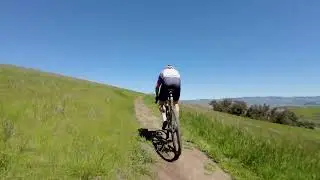DJI 0013