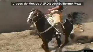 Coleadas en Zac.2006 Videos de México