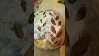 Homemade Sourdough bread!!😍 What do you think?!? I'm still learning...