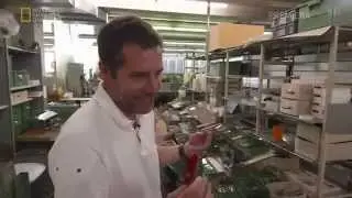 Мегазаводы- Швейцарский армейский нож Victorinox