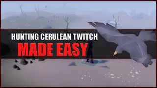 Quick Guide to Hunting Cerulean Twitch in OSRS | Hunter Guide