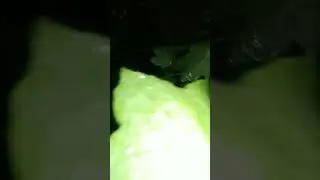 3 августа 2021 г.