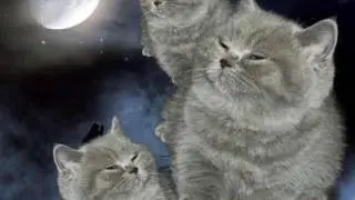 Relax Music Forms–The Clouds