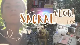Mastering Sacral Authority  ✿ Sacral Response Vlog