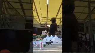 Везде ли Регина попала в расчет, как планировала?