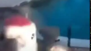 дятел