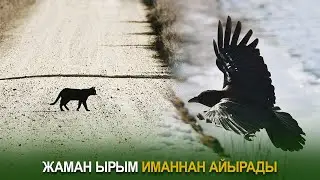 Жаман ырым иманнан айырады