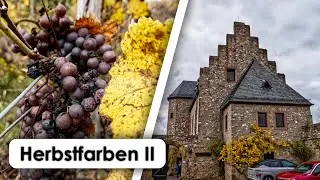 Verlassene Weinberge & Burgen | Herbstfarben fotografieren Teil II