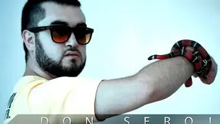 Don Seroj Feat. Bagrationy - Akkordeon | Armenian Rap |