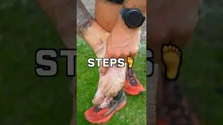 How Many Steps Did I Take Running 50 Miles?