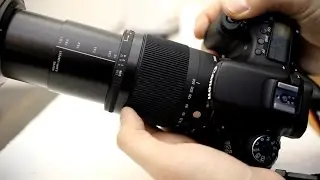 Sigma 18-300mm f3.5-6.3 DC OS Macro 'C' lens review, with samples