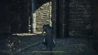 DD2 Unexpected Visitor