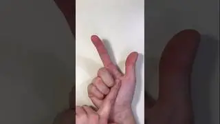 «5 зайчиков»