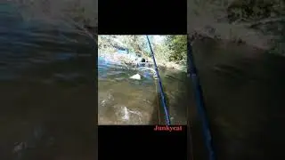 какие бывают трофеи на рыбалке