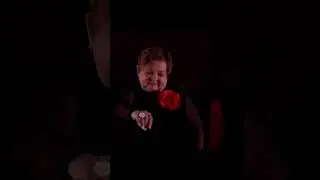 20 мая 2024 г.